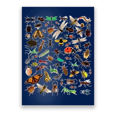 Cool Lots Of Bugs Funny Insect Lover Entomologist Poster