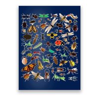 Cool Lots Of Bugs Funny Insect Lover Entomologist Poster
