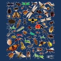 Cool Lots Of Bugs Funny Insect Lover Entomologist Visor