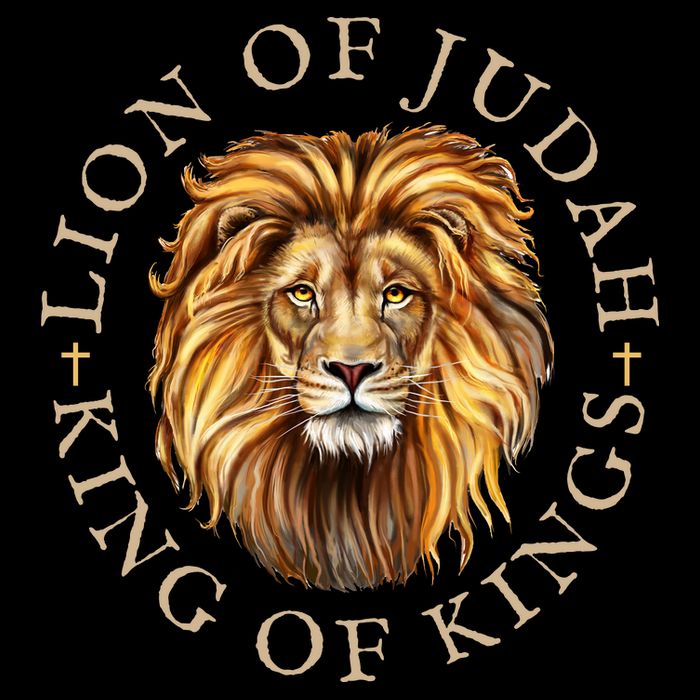 Christian Lion Of Judah Jesus Christ Gift Long Sleeve Shirt
