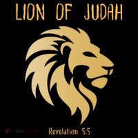 Christian Lion Of Judah Jesus Christ Gift Flatbill Hat