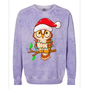 Christmas Lights Owl Wearing Xmas Hat Cute Owl Lover Colorblast Crewneck Sweatshirt