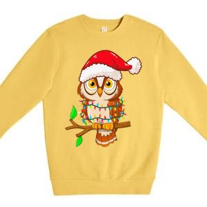 Christmas Lights Owl Wearing Xmas Hat Cute Owl Lover Premium Crewneck Sweatshirt