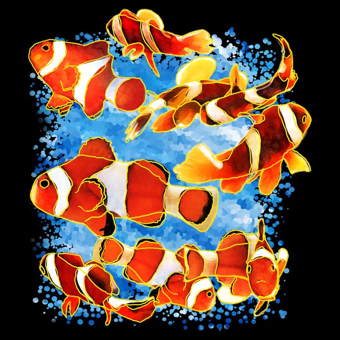 Clown Fish Flexfit Unipanel Trucker Cap