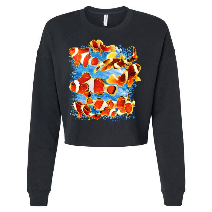 Clown Fish Cropped Pullover Crew