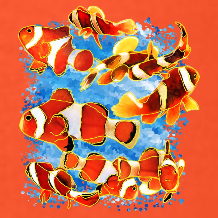 Clown Fish Premium T-Shirt