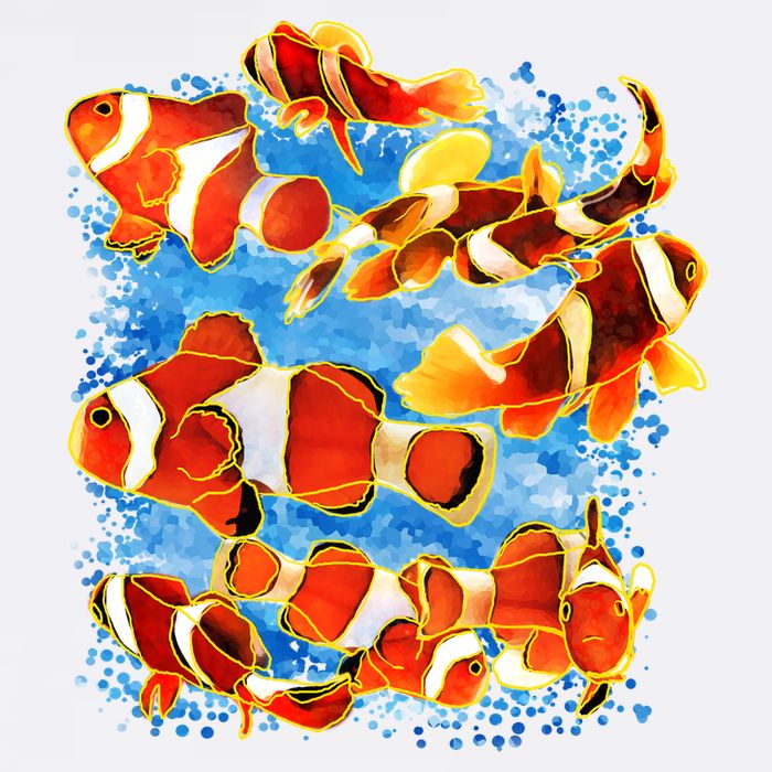 Clown Fish Garment-Dyed Sweatshirt