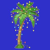 Christmas Lights Palm Tree Beach Funny Tropical Xmas Gift Zip Tote Bag