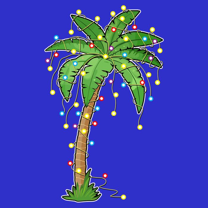 Christmas Lights Palm Tree Beach Funny Tropical Xmas Gift Zip Tote Bag