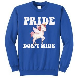 Celebrate Lgbtq Pride Events Month Pride DonT Hide Unicorn Meaningful Gift Sweatshirt