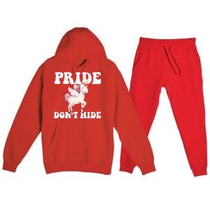 Celebrate Lgbtq Pride Events Month Pride DonT Hide Unicorn Meaningful Gift Premium Hooded Sweatsuit Set