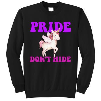 Celebrate Lgbtq Pride Events Month Pride DonT Hide Unicorn Sweatshirt