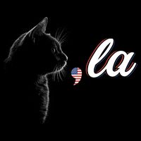 Comma La Patriot Cat Lover For Harris Walz 2024 Cool Gift Mug