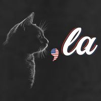 Comma La Patriot Cat Lover For Harris Walz 2024 Cool Gift Hat