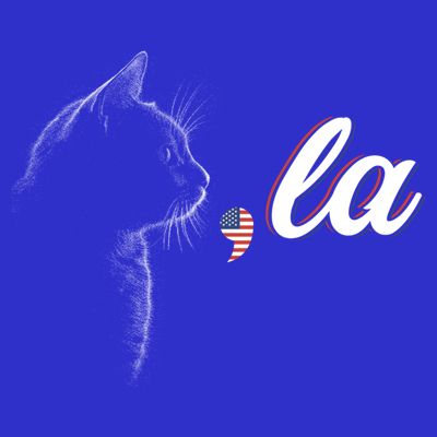 Comma La Patriot Cat Lover For Harris Walz 2024 Cool Gift T-Shirt