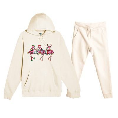 Christmas Lights Pink Flamingo Santa Hat Holiday Xmas Premium Hooded Sweatsuit Set