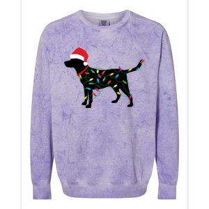 Christmas Labrador Retriever In Santa Hat Xmas Lights Meaningful Gift Colorblast Crewneck Sweatshirt