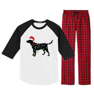 Christmas Labrador Retriever In Santa Hat Xmas Lights Meaningful Gift Raglan Sleeve Pajama Set