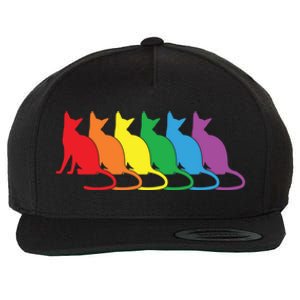 Cats Lgbtq Rainbow Pride Lesbian Lgbt Proud Cat Mom Dad Gift Wool Snapback Cap