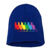 Cats Lgbtq Rainbow Pride Lesbian Lgbt Proud Cat Mom Dad Gift Short Acrylic Beanie