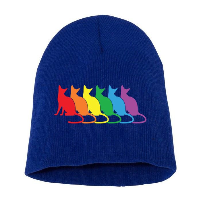 Cats Lgbtq Rainbow Pride Lesbian Lgbt Proud Cat Mom Dad Gift Short Acrylic Beanie