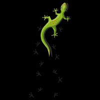Cute Lizard Reptile With Tracks Climbing Gecko Flat Bill Trucker Hat