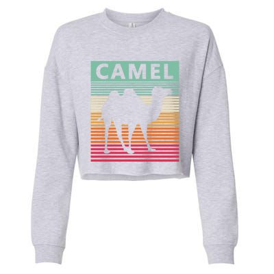 Camel Lover Retro Vintage Camel Gift Cropped Pullover Crew