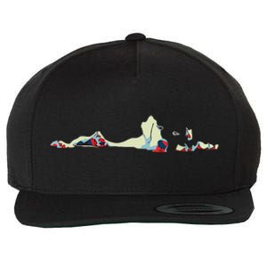 Cool Labrador Retriever Dog Lover T Lab Gift Wool Snapback Cap