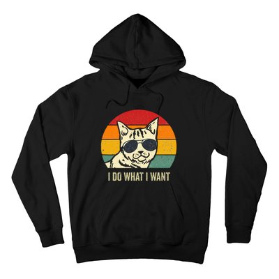 Cat Lovers Retro Vintage I Do What I Want Funny Cat Hoodie