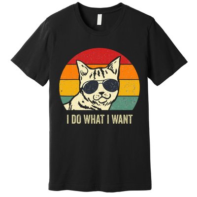 Cat Lovers Retro Vintage I Do What I Want Funny Cat Premium T-Shirt