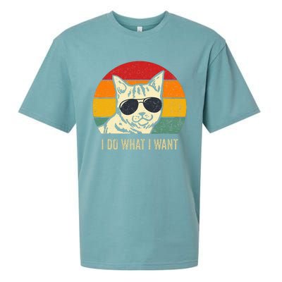 Cat Lovers Retro Vintage I Do What I Want Funny Cat Sueded Cloud Jersey T-Shirt