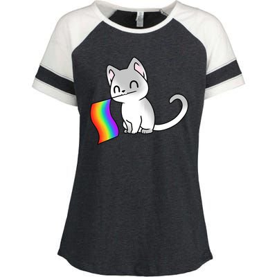 Cat Lgbt Rainbow Flag Pride Month Enza Ladies Jersey Colorblock Tee