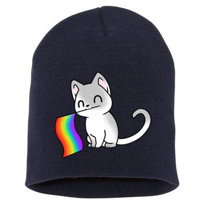 Cat Lgbt Rainbow Flag Pride Month Short Acrylic Beanie