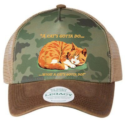 Cat Lover Sleeping Cat A Cats Gotta Do Funny Cat Saying Legacy Tie Dye Trucker Hat