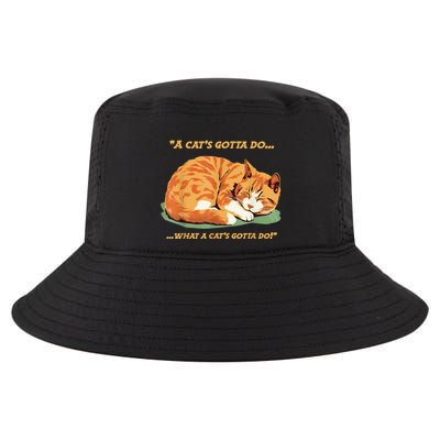 Cat Lover Sleeping Cat A Cats Gotta Do Funny Cat Saying Cool Comfort Performance Bucket Hat