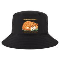 Cat Lover Sleeping Cat A Cats Gotta Do Funny Cat Saying Cool Comfort Performance Bucket Hat