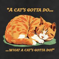 Cat Lover Sleeping Cat A Cats Gotta Do Funny Cat Saying Cool Comfort Performance Bucket Hat