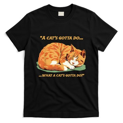 Cat Lover Sleeping Cat A Cats Gotta Do Funny Cat Saying T-Shirt