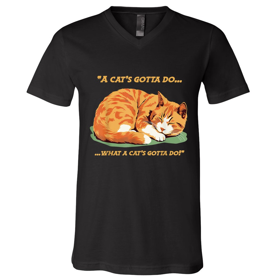 Cat Lover Sleeping Cat A Cats Gotta Do Funny Cat Saying V-Neck T-Shirt