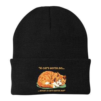 Cat Lover Sleeping Cat A Cats Gotta Do Funny Cat Saying Beanie