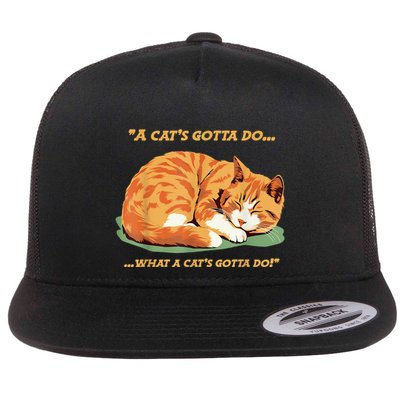 Cat Lover Sleeping Cat A Cats Gotta Do Funny Cat Saying Flatbill Hat