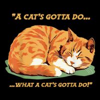 Cat Lover Sleeping Cat A Cats Gotta Do Funny Cat Saying 16 in Basic Backpack