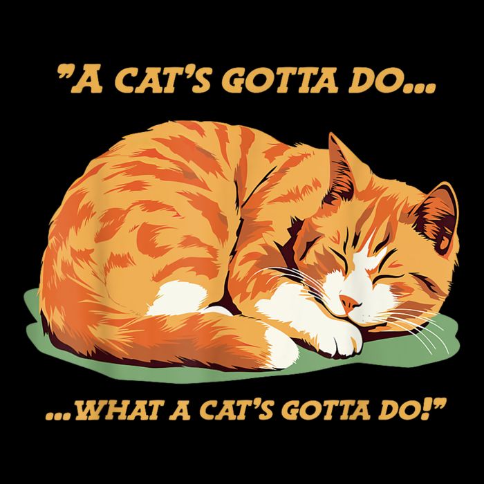 Cat Lover Sleeping Cat A Cats Gotta Do Funny Cat Saying 16 in Basic Backpack
