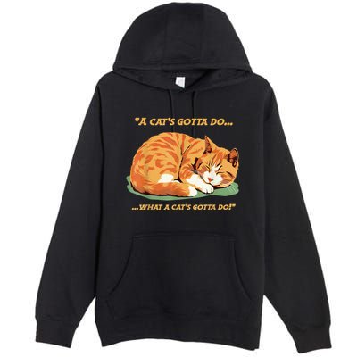 Cat Lover Sleeping Cat A Cats Gotta Do Funny Cat Saying Premium Pullover Hoodie