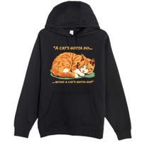Cat Lover Sleeping Cat A Cats Gotta Do Funny Cat Saying Premium Pullover Hoodie