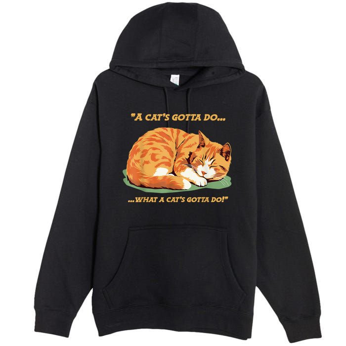 Cat Lover Sleeping Cat A Cats Gotta Do Funny Cat Saying Premium Pullover Hoodie