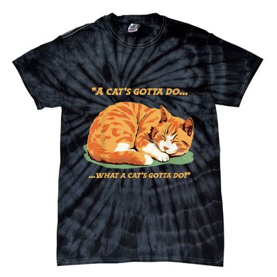 Cat Lover Sleeping Cat A Cats Gotta Do Funny Cat Saying Tie-Dye T-Shirt