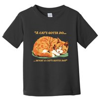 Cat Lover Sleeping Cat A Cats Gotta Do Funny Cat Saying Toddler T-Shirt