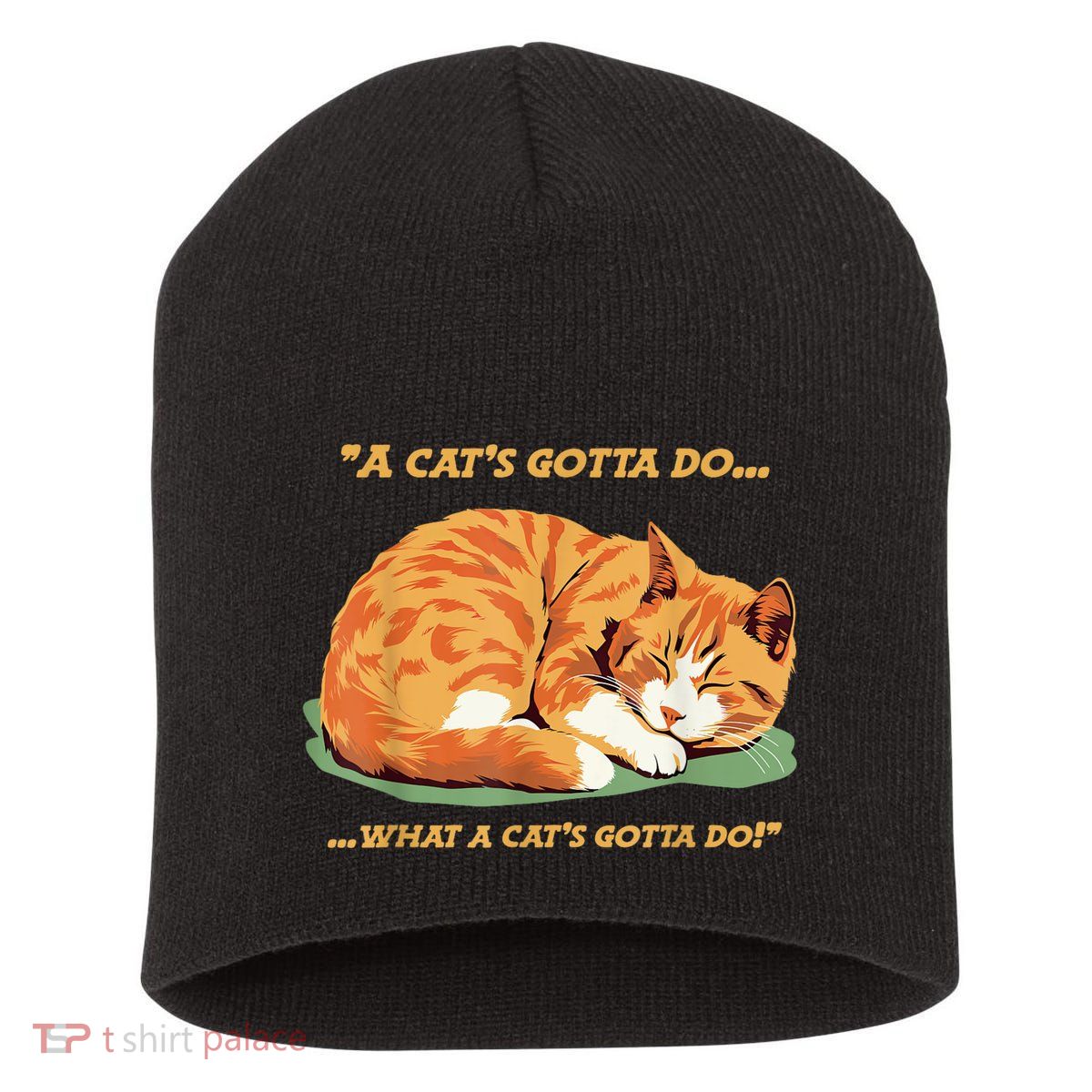 Cat Lover Sleeping Cat A Cats Gotta Do Funny Cat Saying Short Acrylic Beanie