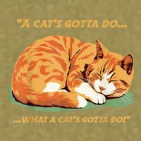 Cat Lover Sleeping Cat A Cats Gotta Do Funny Cat Saying Garment-Dyed Women's Muscle Tee